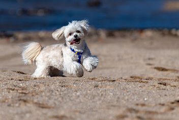 Happy day - Kostenloses image #496075